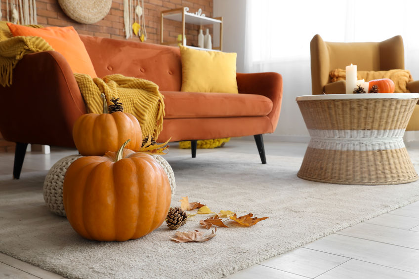 Interior of living room with cozy sofa, armchair, coffee table and autumn décor